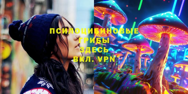 соль ск Аркадак